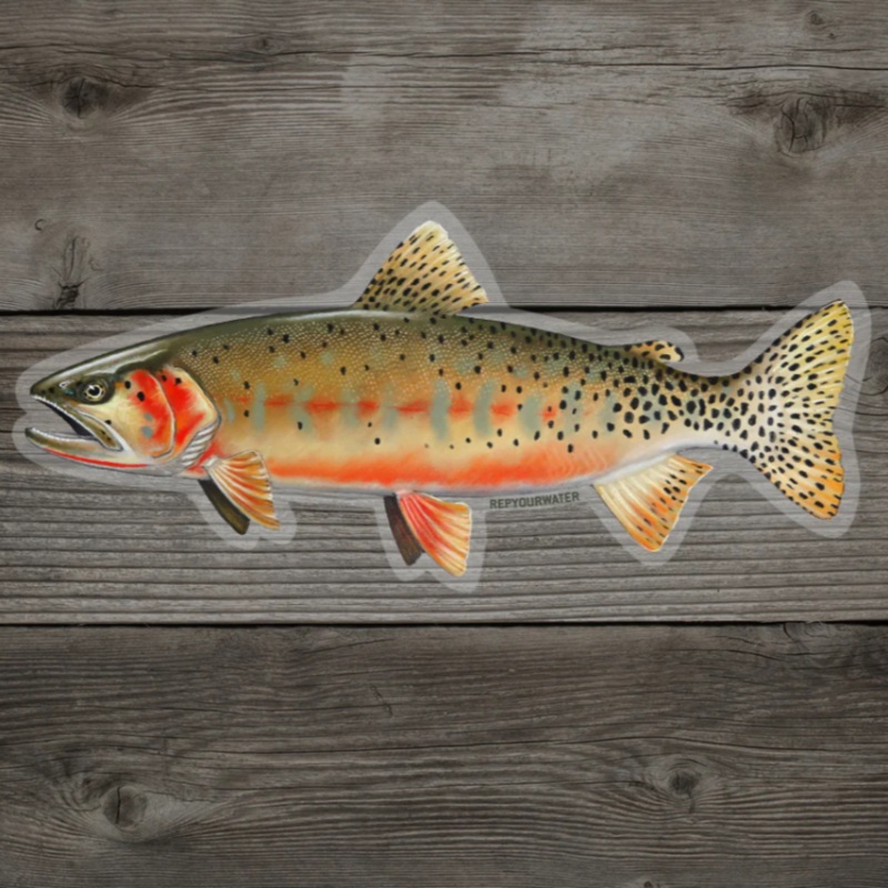 Rep Your Water Sticker Cuttie|One Size