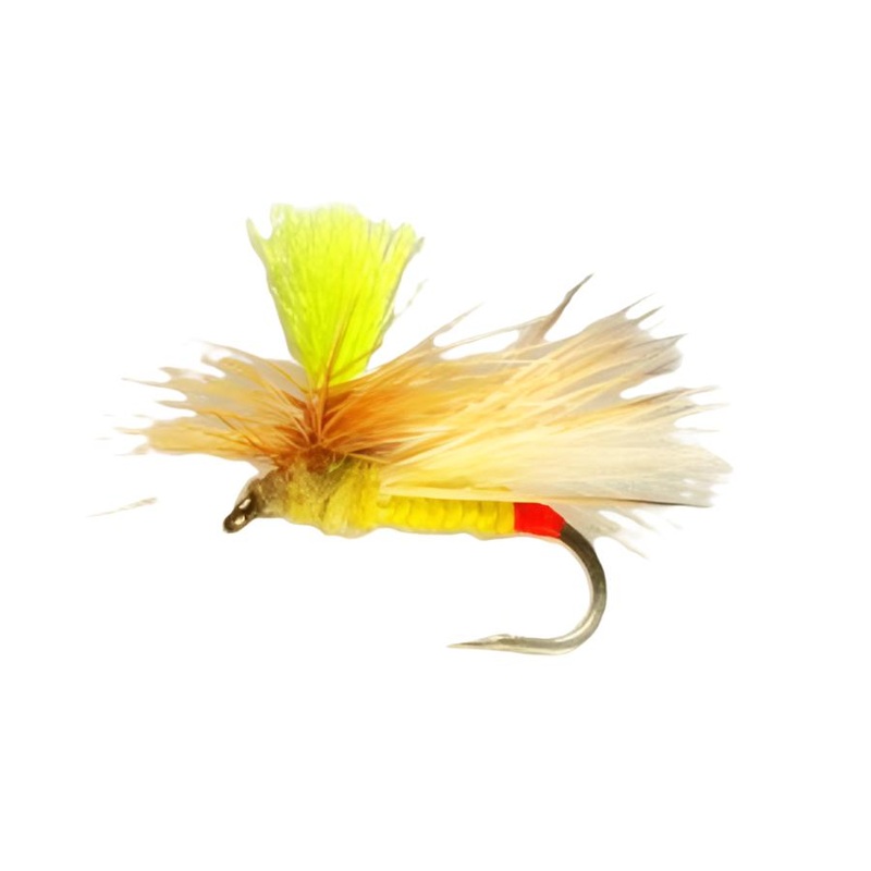 YFG Flies Bloom’s Para Sally Dry Fly