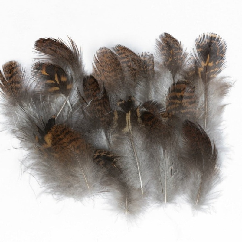 Veniard Grouse Body Plumage|Natural