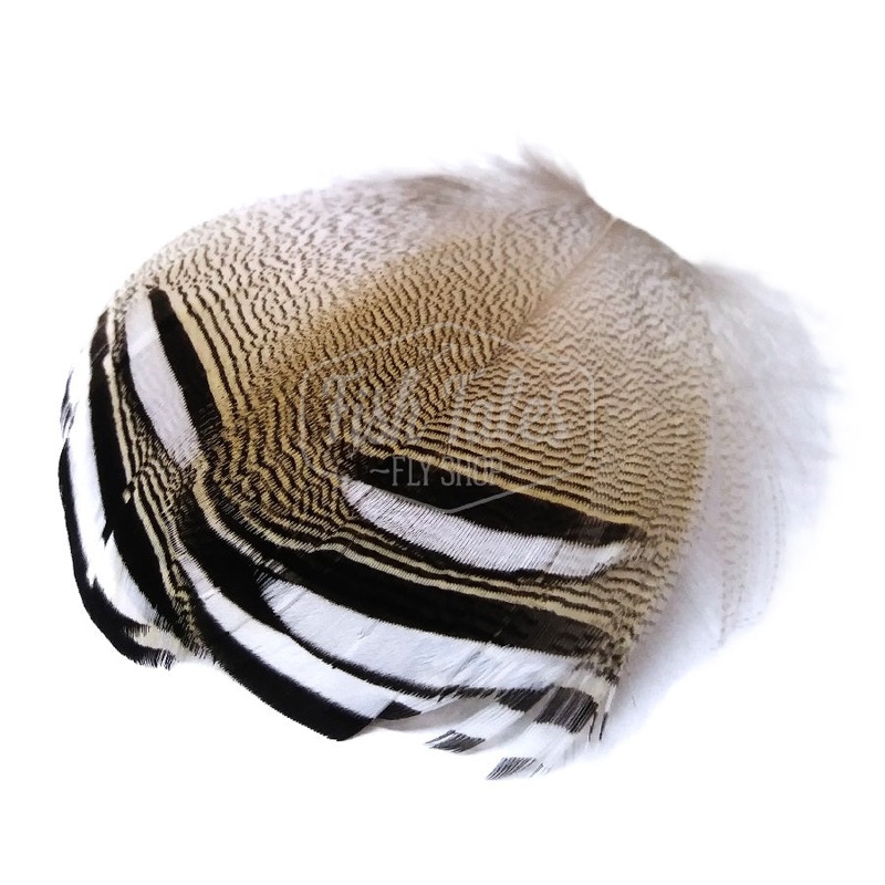 Wapsi Natural Black and White Wood Duck Flank Feathers