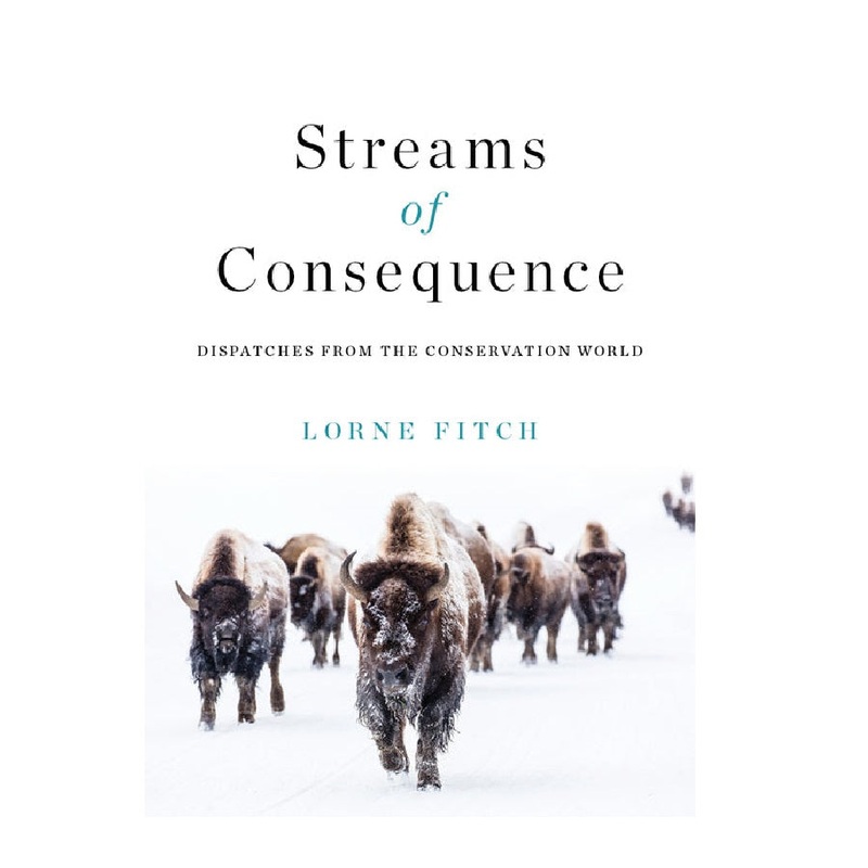Streams of Consequence by Lorne Fitch