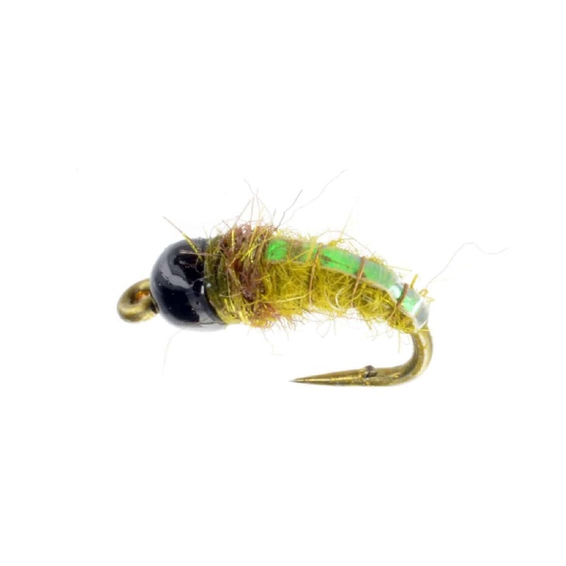 Catch Flies TB Electric Caddis Nymph