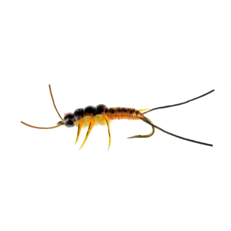Catch Flies Thompson’s Phony Stony Stonefly Nymph