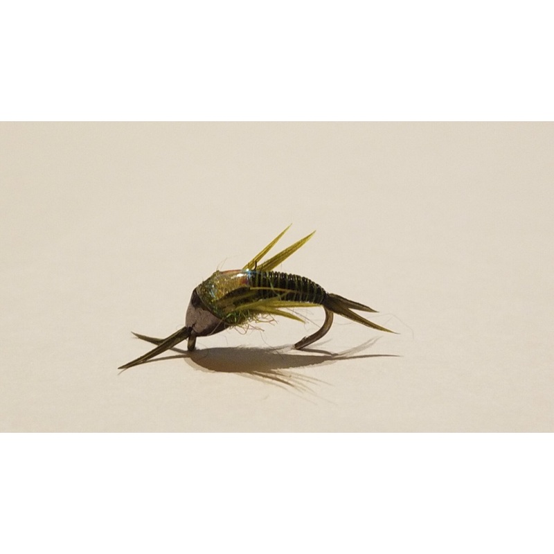 Charlie’s Kidney Stone Size 12