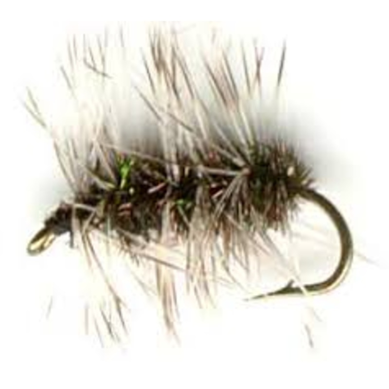 Griffith’s Gnat|18|20|22