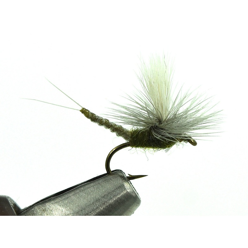 Parachute Extended Body BWO|16|18|20|22