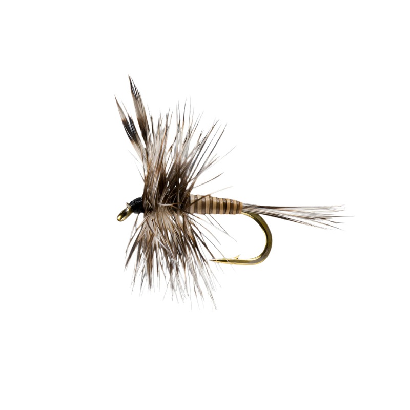 Rio Flies Mosquito Dry Fly|Black/White|14|16