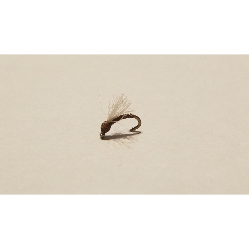 Tid Bit Midge Brown|22|24