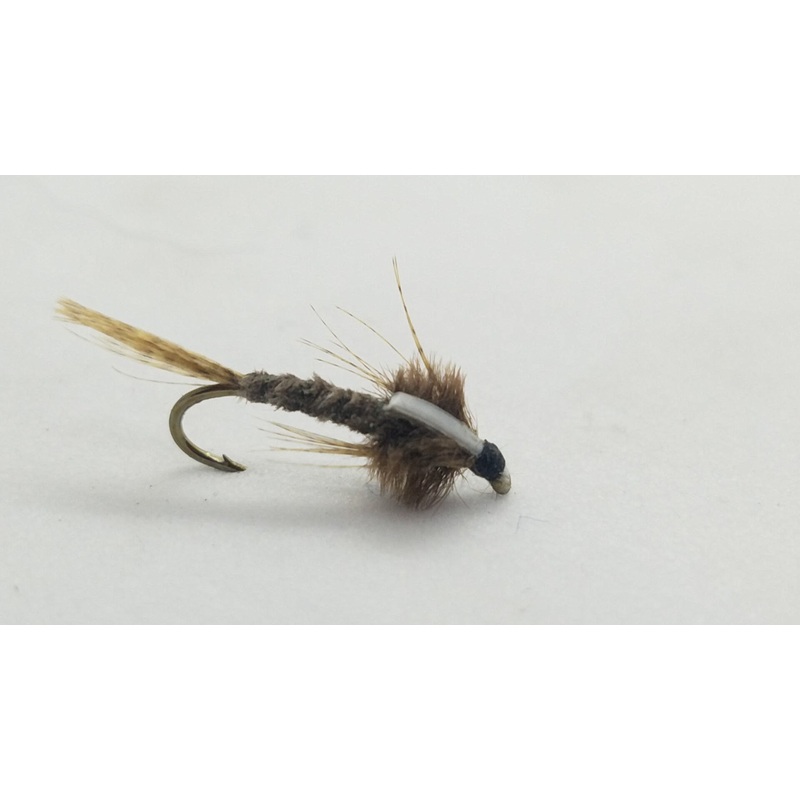 Bubbas Callibaetis|14|16