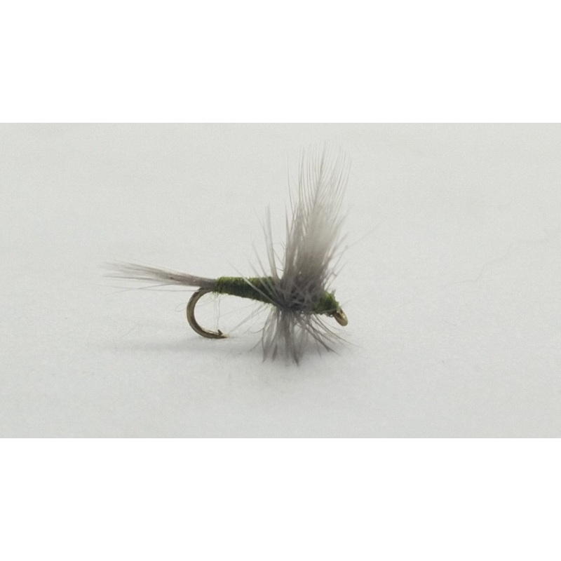 BWO Thorax|20|22