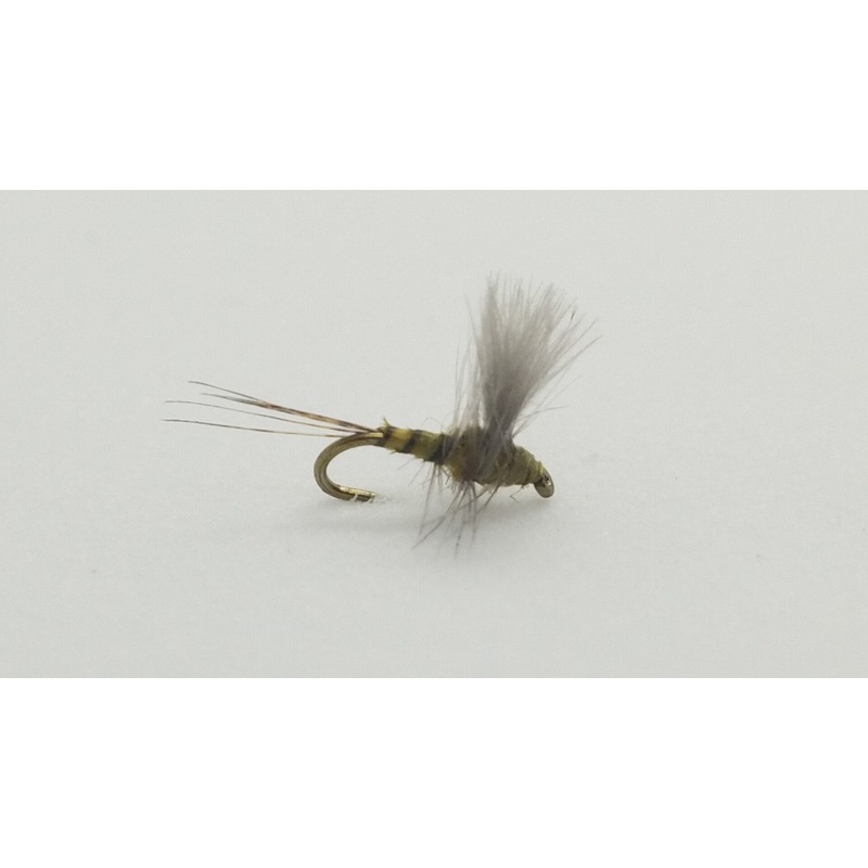 CDC Thorax Bwo Size 22