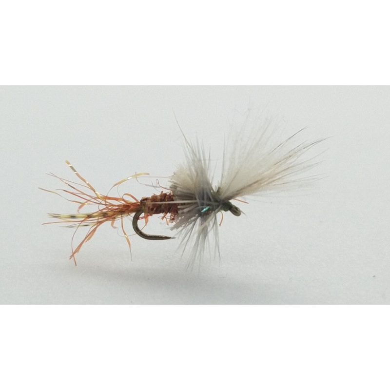 D&D Cripple BWO Size 20