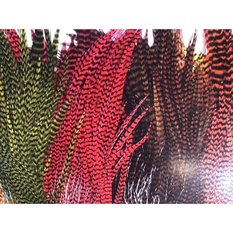 Ewing Grizzly Rooster Half Saddles