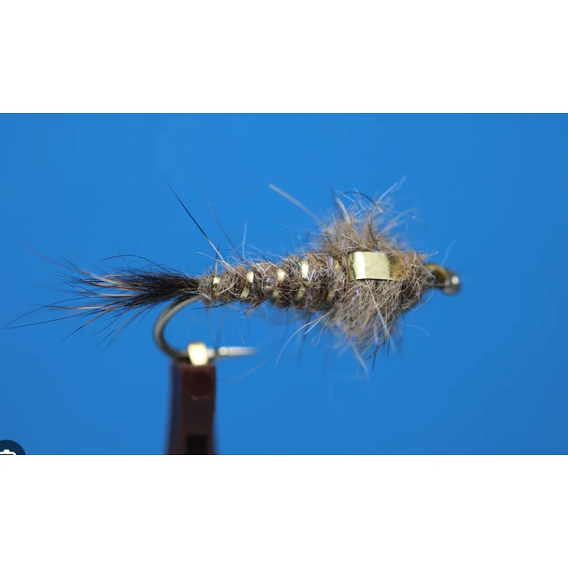 Gold Ribbed Hares Ear|Natural|10|12|14|16|18|20