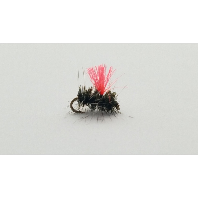 Hi-Vis Griffiths Gnat|20|22