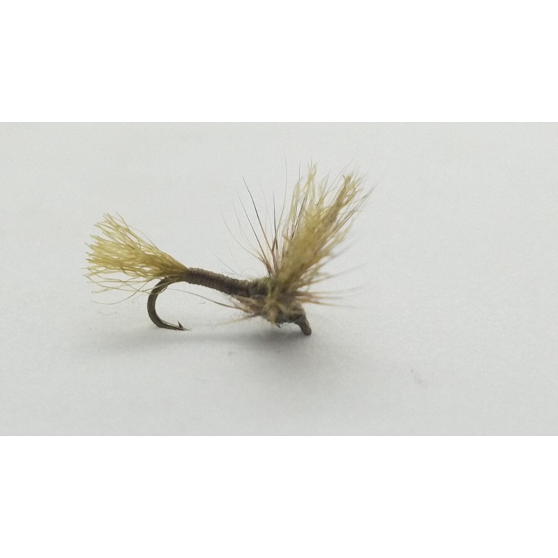 IMP Sparkle Dun Olive Size 20