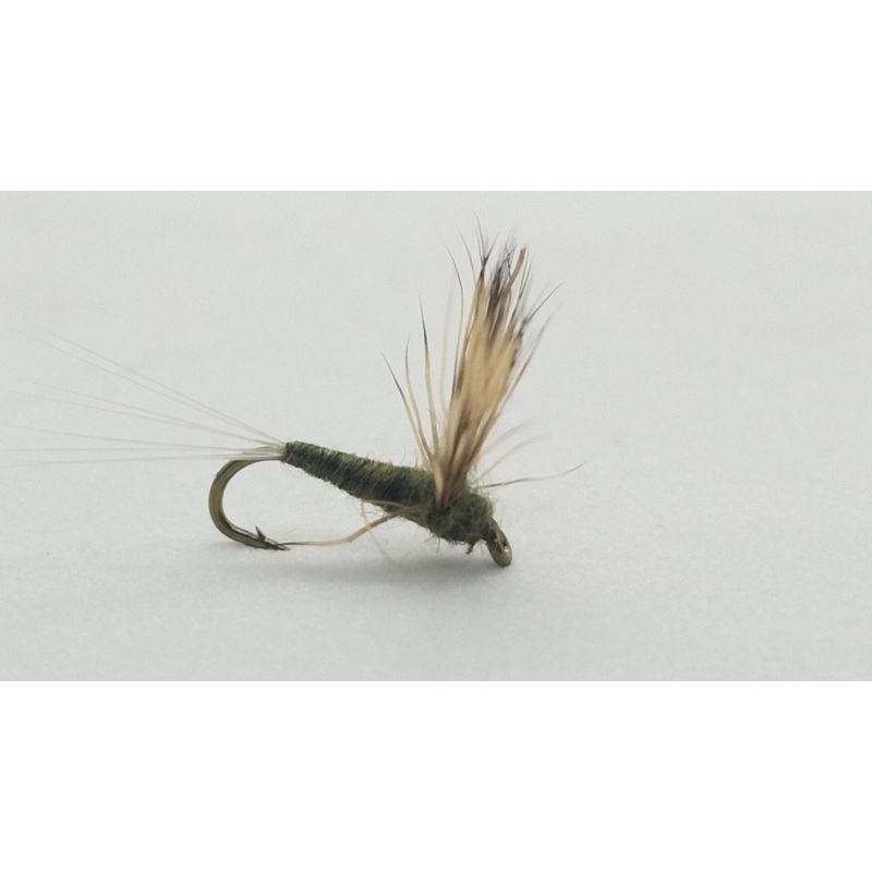 Matthews BWO Dun|18|20|22