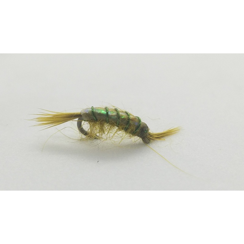 MFC Scud, Olive Size 16