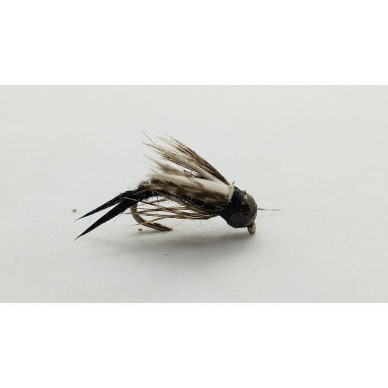 Prince Of Darkness|12|14|16