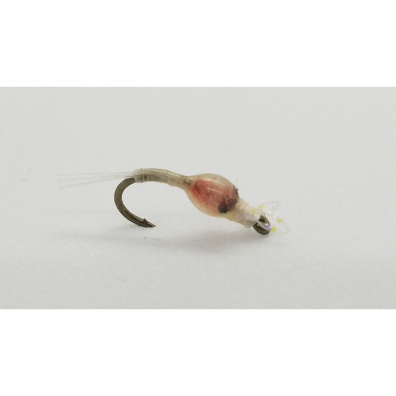 Reeds Magma Mysis Shrimp Size 16