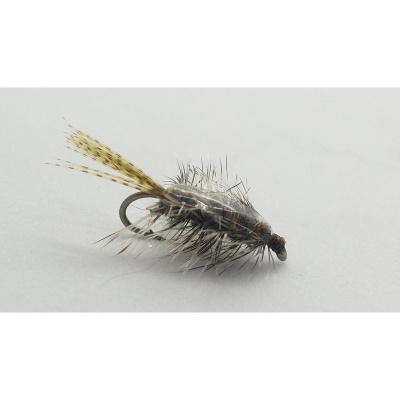 Rickards Callibaetis|12|14