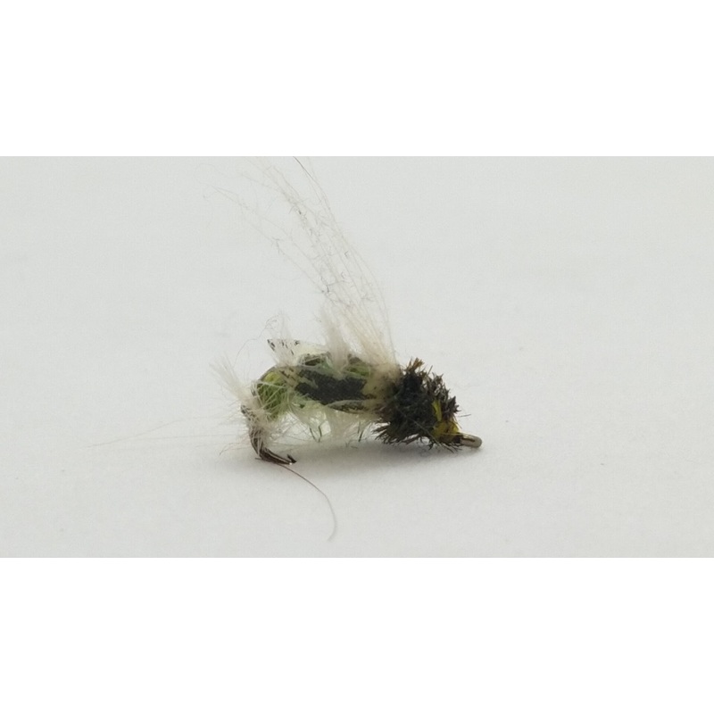 Thin Skin Caddis Larva, Sz 14