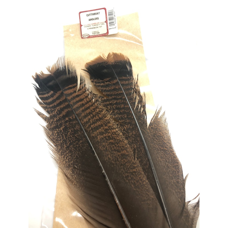 Wapsi Ozark Turkey Tail|Cinnamon Tip