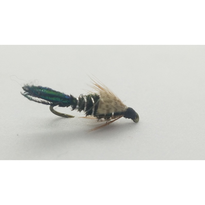 Zug Bug|14|16