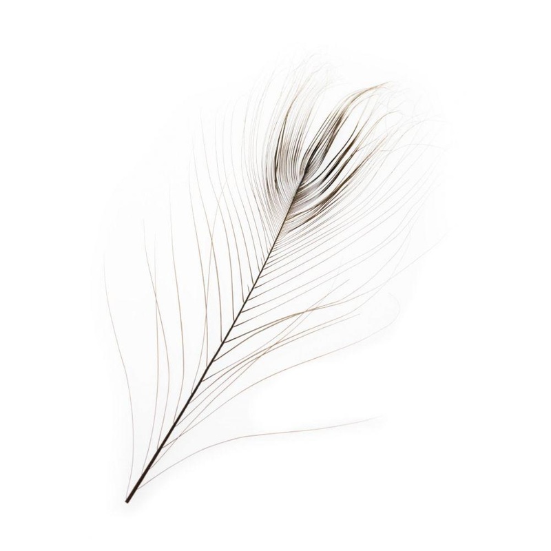 Stripped Peacock Eye||242 Natural||263 Olive