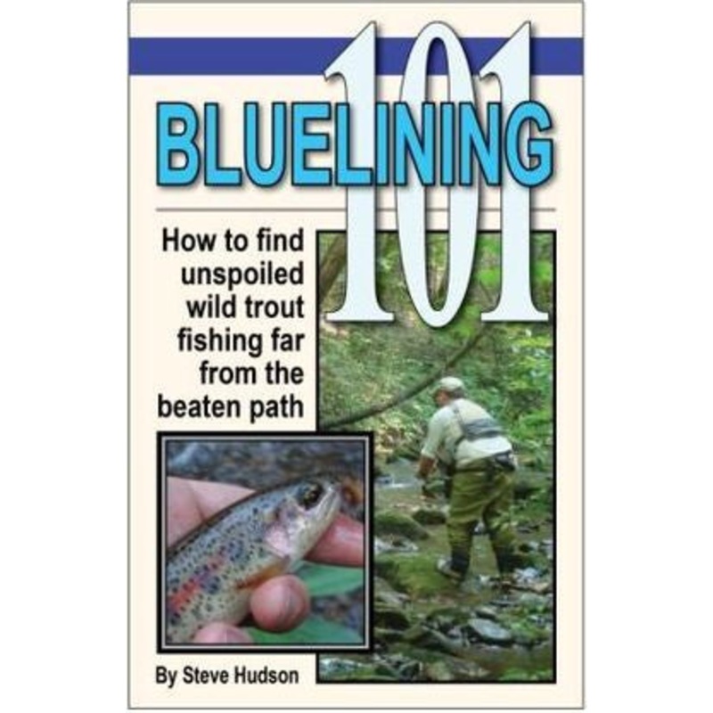 Bluelining 101 by Steve Hudson