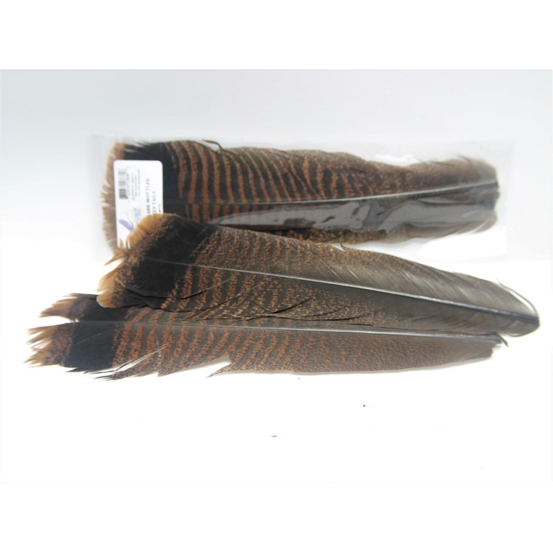 Ozark Mottled Turkey Tails