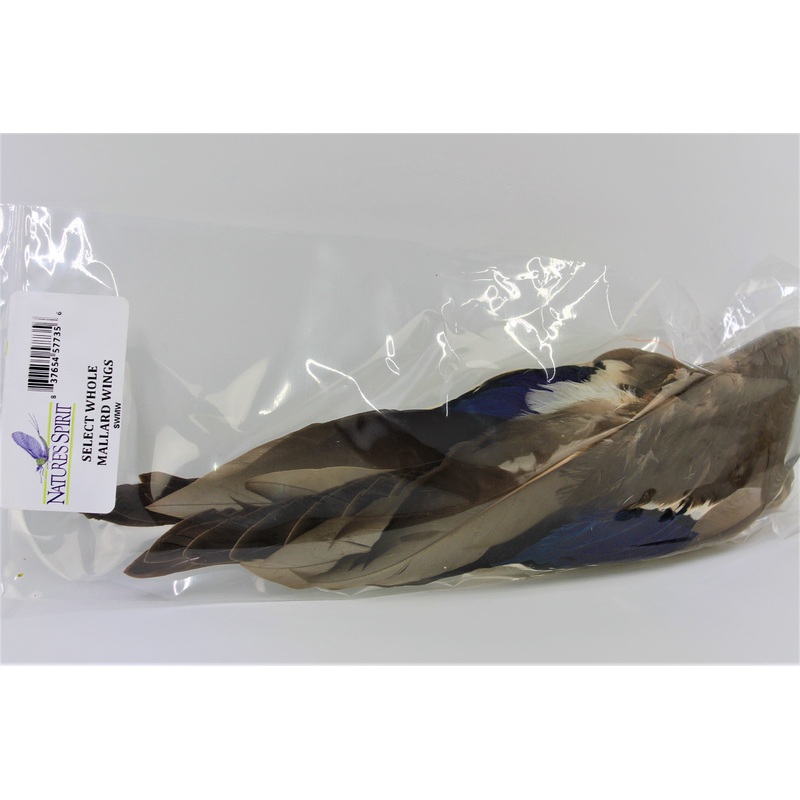 Whole Mallard Wings