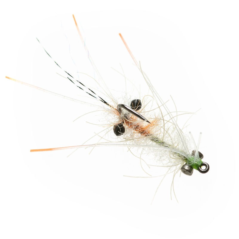 EP Ascension Bay Mantis (Presentation Lead) – Ghost – Size 1