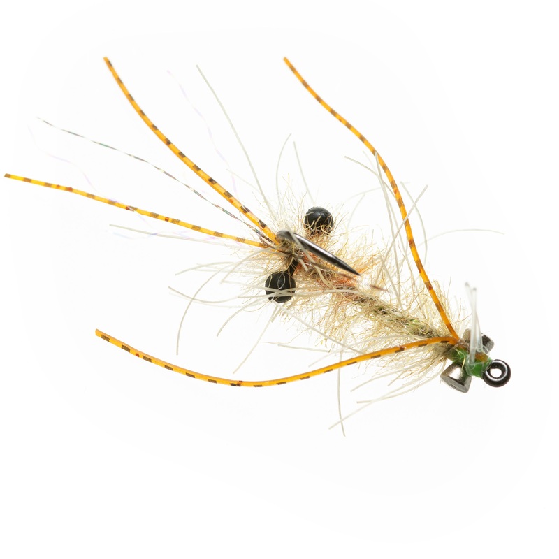 EP Ascension Bay Mantis (Presentation Lead) – Golden Sand – Size 1
