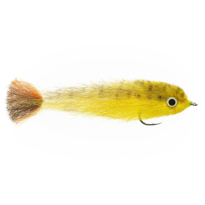 EP Baby Dorado – Size 4/0|Size 4/0