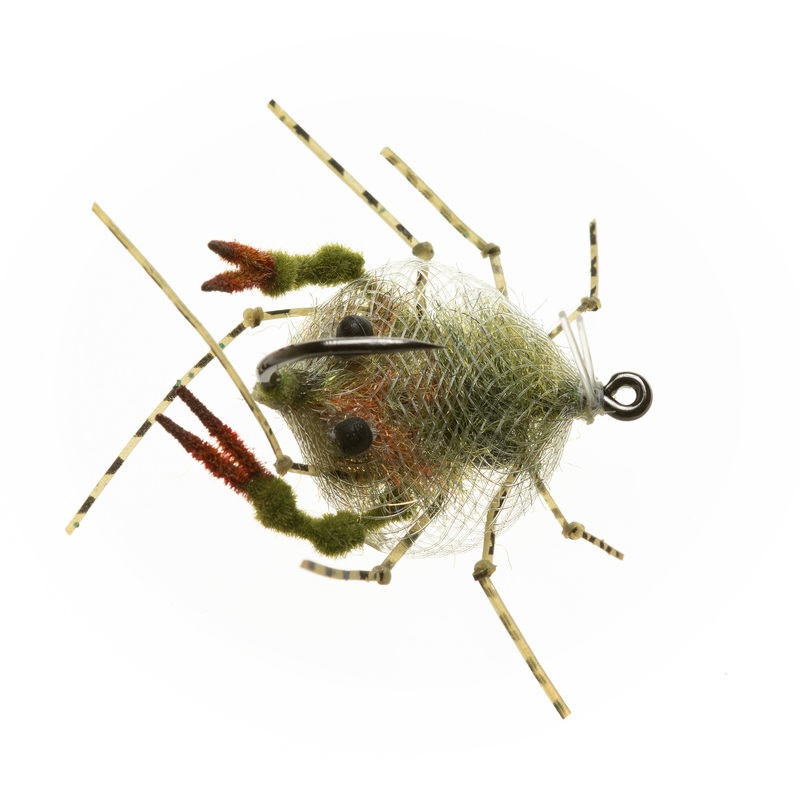 EP Descendent Crab – Olive – Size 1