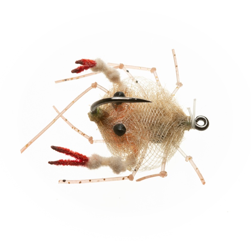 EP Descendent Crab – Tan – Size 1