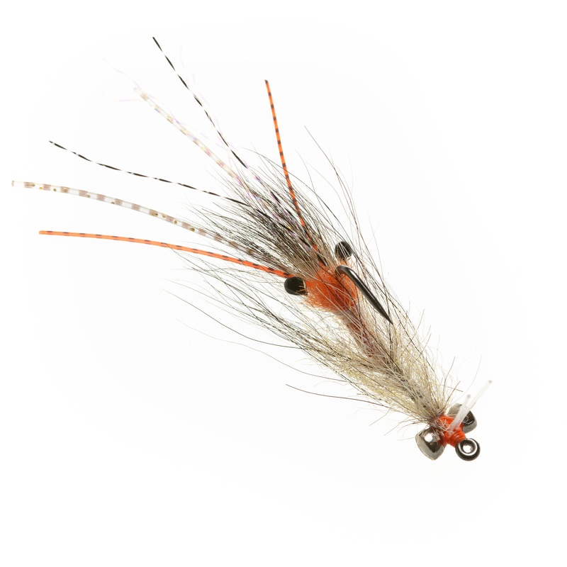 EP Spawning Shrimp (Presentation Lead) – Coyote