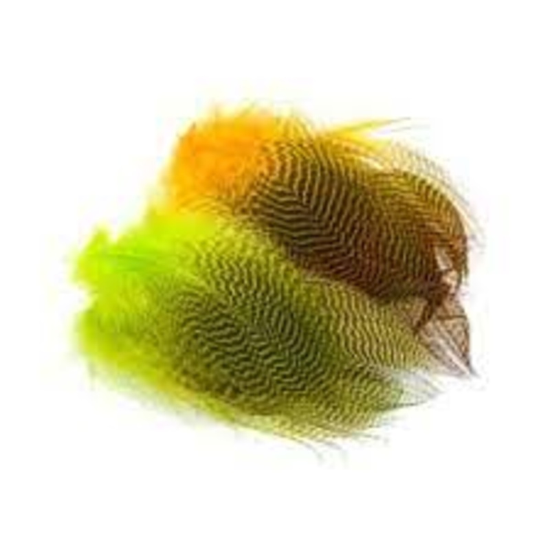 Galdwall Barred Flank|Natural|Yellow|Wood Duck|Olive