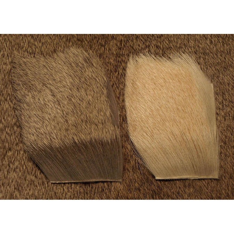 Premium Yearling Elk|Natural|Bleached