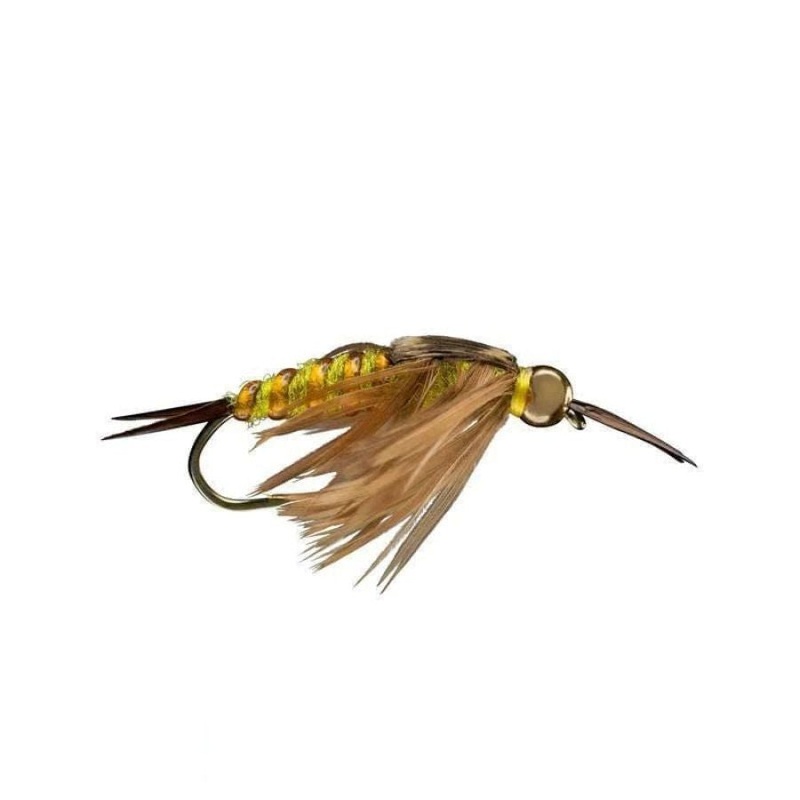 Beaded Golden Stone|Size 8|Size 10