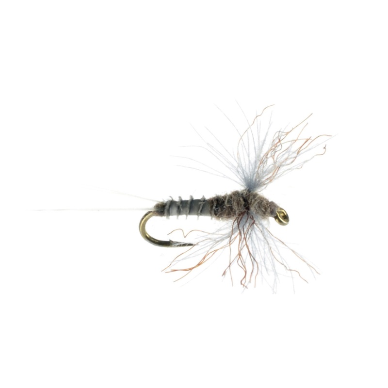 Callibaetis CDC Spinner – Size 16