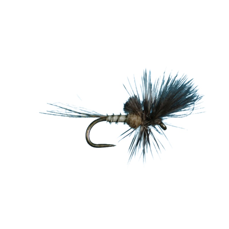 Callibaetis Last Chance Cripple – Size 18