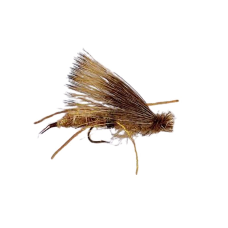 Cat Puke – Golden Stone – Size 8