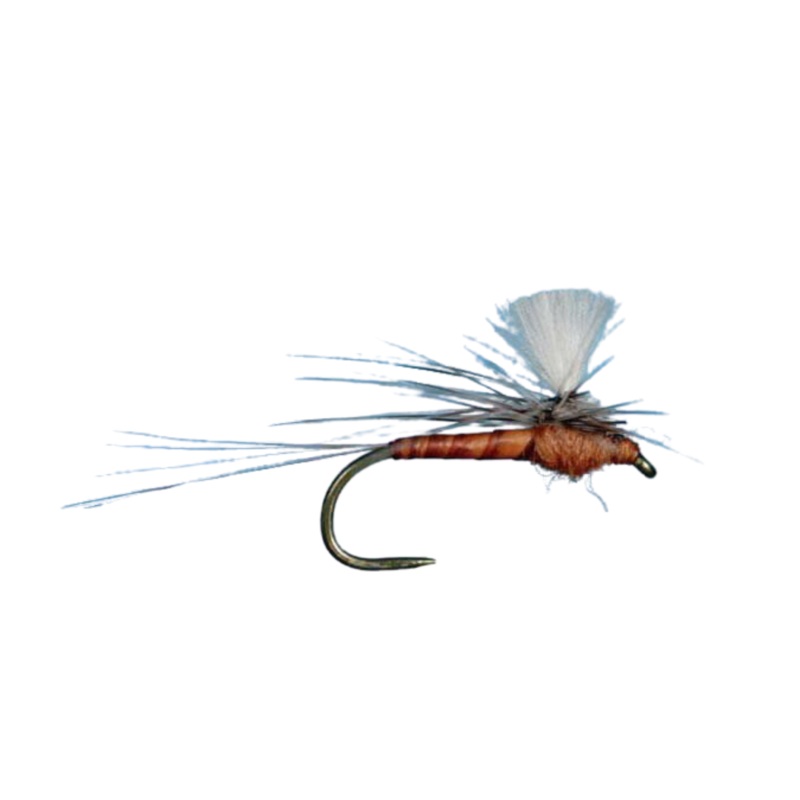CDC Parachute Spinner – Rusty|Size 14|Size 16|Size 18