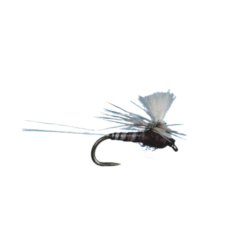 CDC Parachute Spinner – Trico|Size 18|Size 20