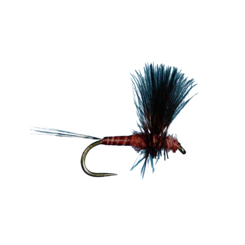 CDC Thorax – Mahogany|Size 16|Size 18