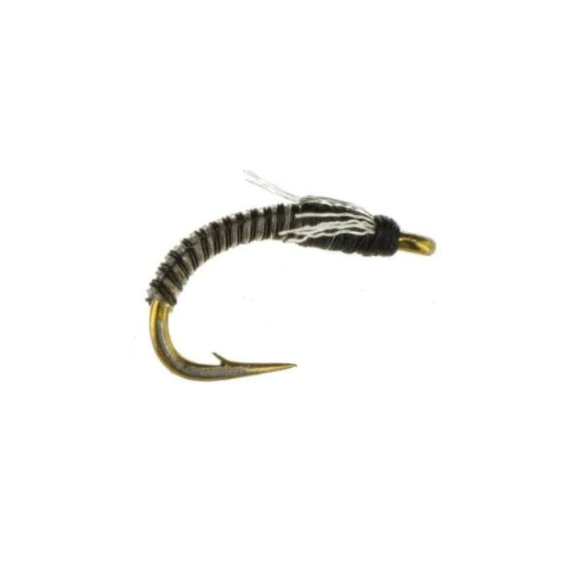 Jujubee Midge – Zebra – Size 18