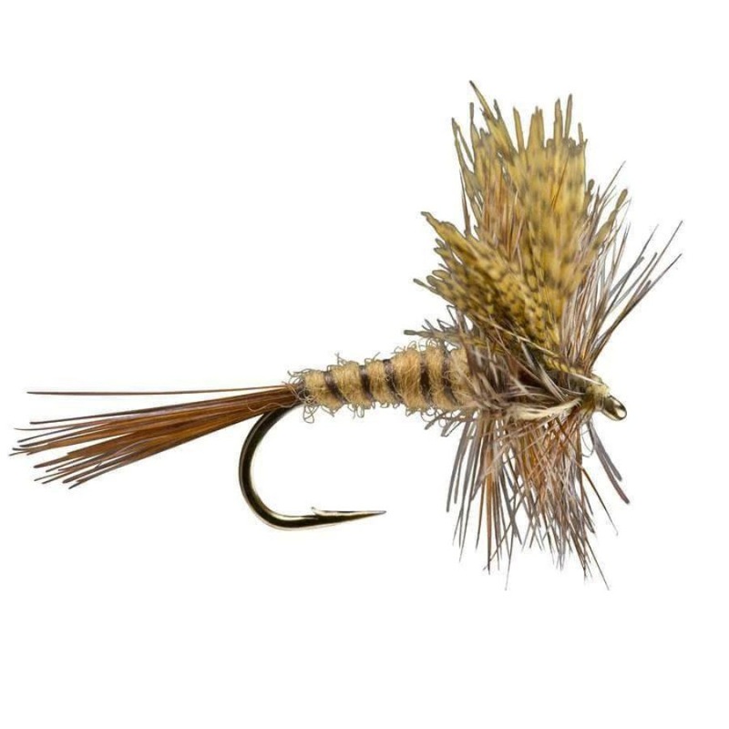 March Brown – Size 14|Size 14