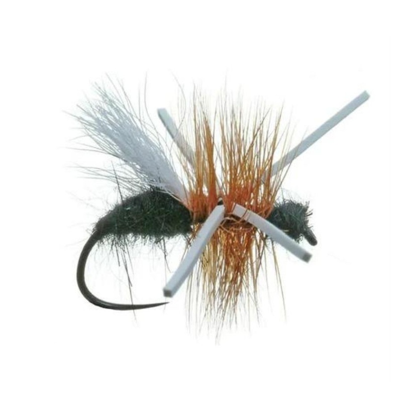 Power Ant – Black – Size 13|Size 13